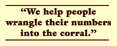 We help people wrangle their numbers into the corral